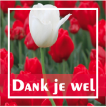 Dank je wel