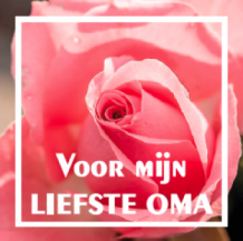 Wonderlijk Voor mijn liefste oma WL 47 nl - Etiketten | Bedrukte etiketten HW-98