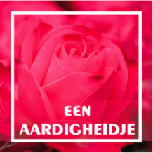 Een aardigheidje