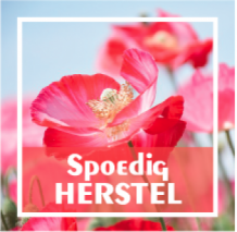 Spoedig herstel WL 9 nl