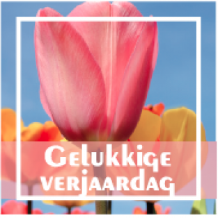 Gelukkige verjaardag WL 28 nl