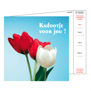 Kadobonnen + design envelop