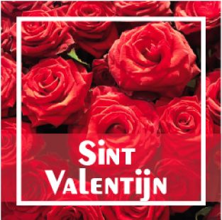 Sint Valentijn